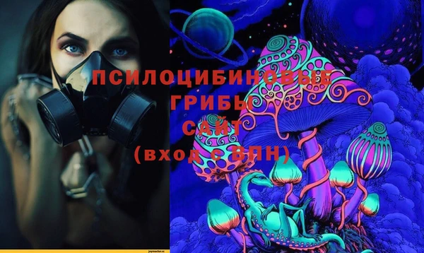 apvp Снежногорск