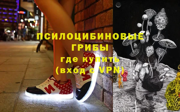 дживик Алексин